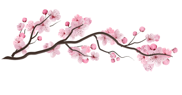 sakura